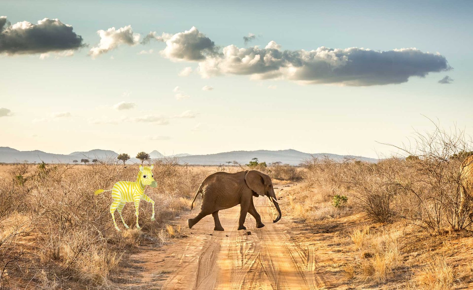 Elefant in der Savanne mit der Illustration von Steppi, dem kleinen goldenen Zebra, das neugierig hinter dem Elefanten hergeht.
